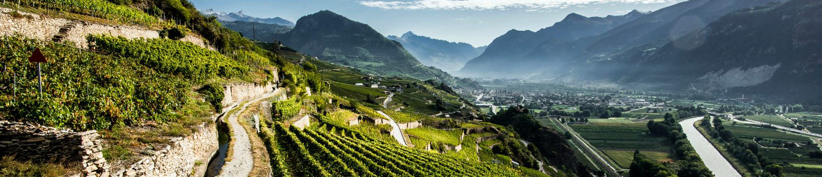 img-vignoble