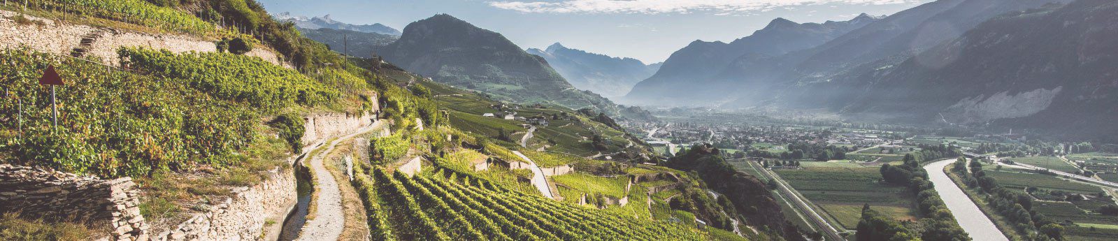 img-vignoble